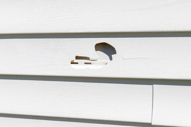 Professional Siding Installation & Repair in Broadway, NC