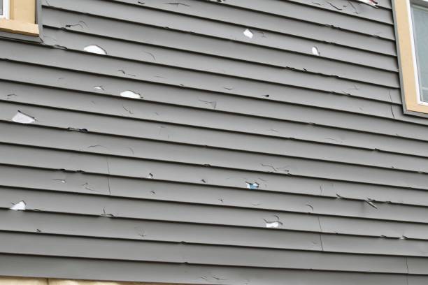 Best Stucco Siding  in Broadway, NC